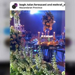 اینستاگرام تشریفات مجالس فروزان ساری