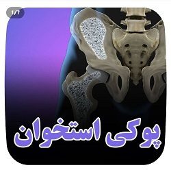 بهترین فیزیوتراپی ساری