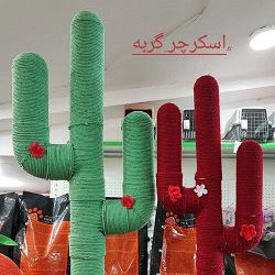 بهترین پت شاپ ساری