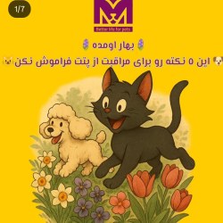 بهترین پت شاپ ساری