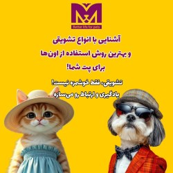 پت شاپ مخمل ساری