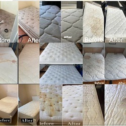 اینستاگرام مبل شویی مازند پاکشو ساری