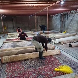 بهترین قالی شویی ساری