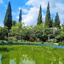 بهترین جا برای چادر زدن ساری