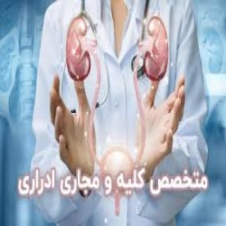 بهترین دکتر فوق تخصص کلیه ساری