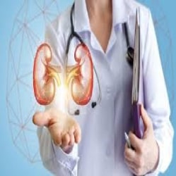 دکتر حمید محمد جعفری فوق تخصص کلیه ساری