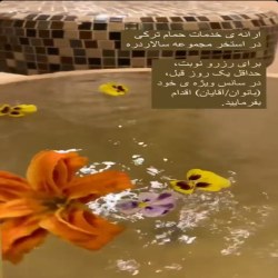 اینستاگرام استخر سالار دره ساری